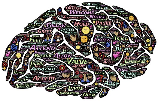 A drawing of a brain divided up into sections with coloured words including listen, value, thank, appreciate, accept, feel, pause etc/